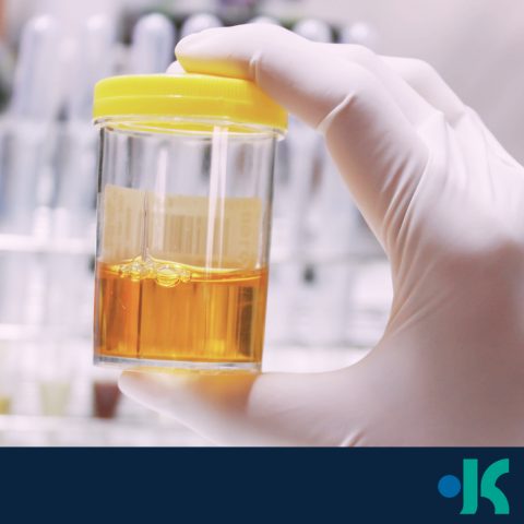 KINNECT gets in early for update to AS/NZS 4308:2023 urine drug testing standard